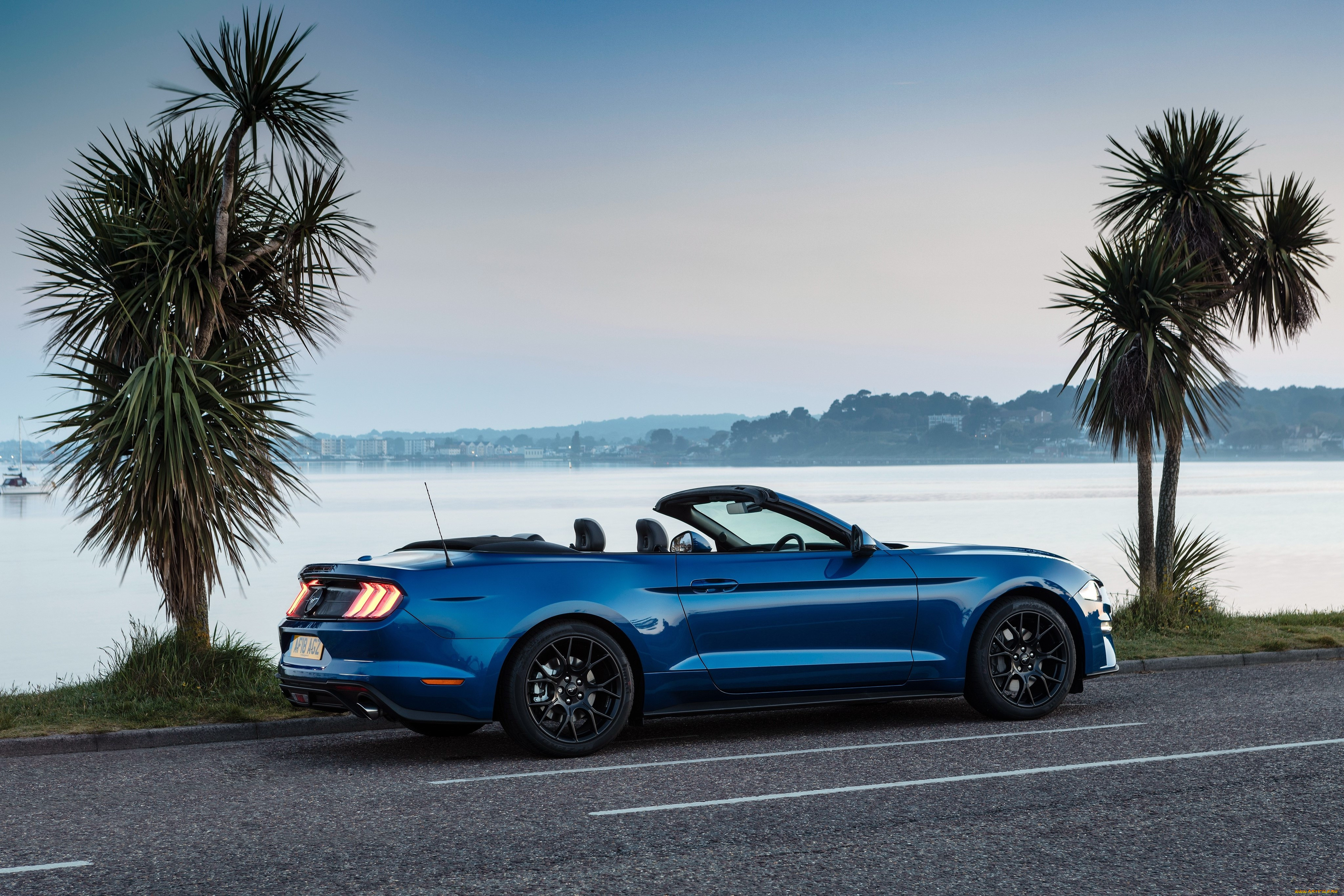 , mustang, ford
